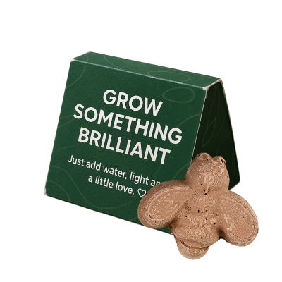 Picture of MINI SEEDS BOMB BOX