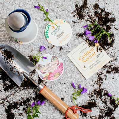 Picture of SEEDS PAPER COASTERS.