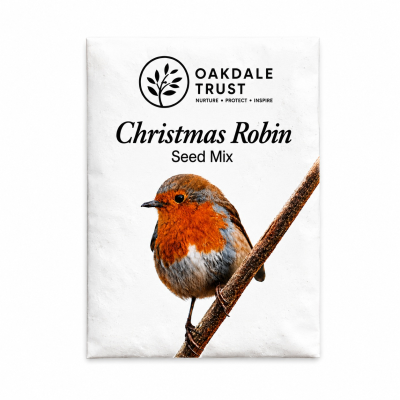 Picture of CHRISTMAS ROBIN SEED MIX