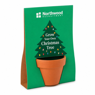 Picture of CHRISTMAS TREE GROW KIT