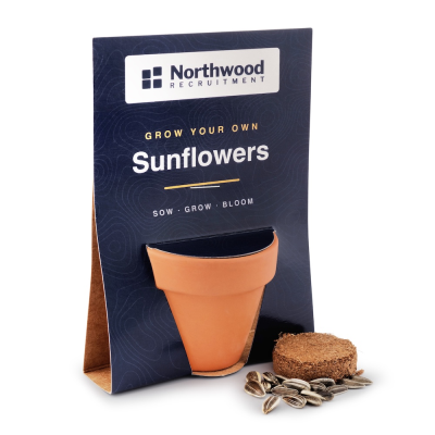 Picture of TERRACOTTA GROW KIT