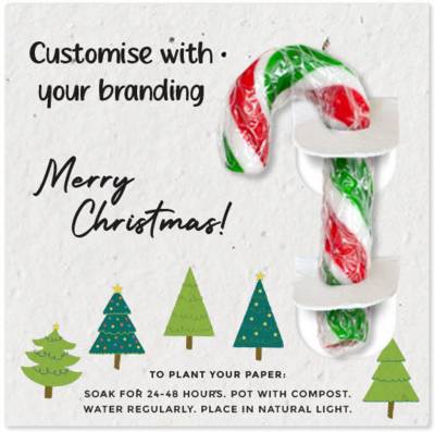 Picture of MINI CANDY CANE ON PLANTABLE SEEDS PAPER BACKING CARD.