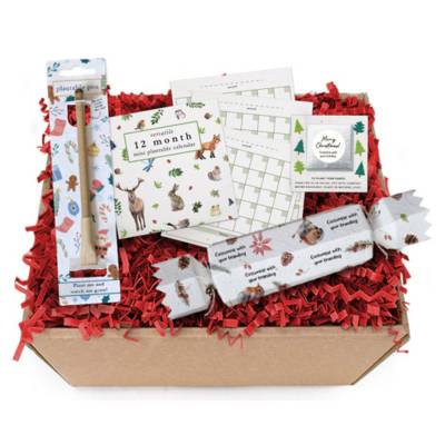 Picture of CHRISTMAS GIFT BOX with Plantable, Eco Friendly Items