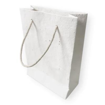 Picture of PLANTABLE SEEDS PAPER GIFT BAG.