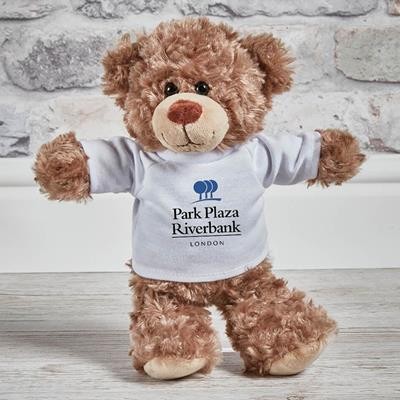 Picture of EXPRESS SMALL BODDIE BEAR with Tee Shirt.