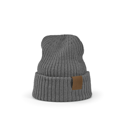Picture of TUPAC BEANIE in Grey.