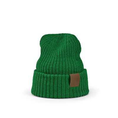 Picture of TUPAC BEANIE in Dark Green.