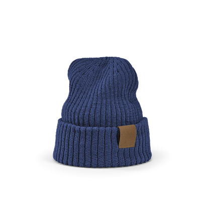 Picture of COBAIN BEANIE in Blue