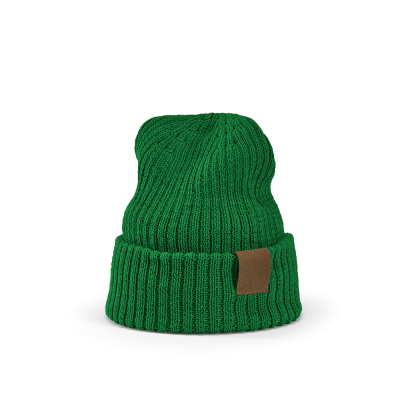 Picture of COBAIN BEANIE in Dark Green