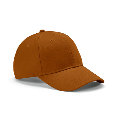Picture of DARRELL CAP in Brown