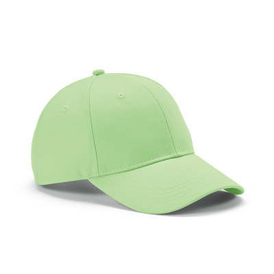 Picture of DARRELL CAP in Pale Green