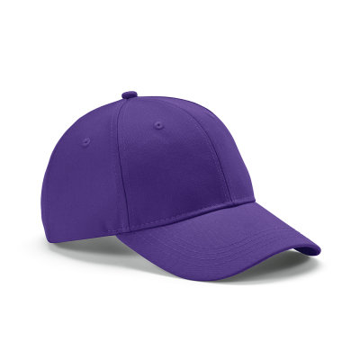 Picture of DARRELL CAP in Purple