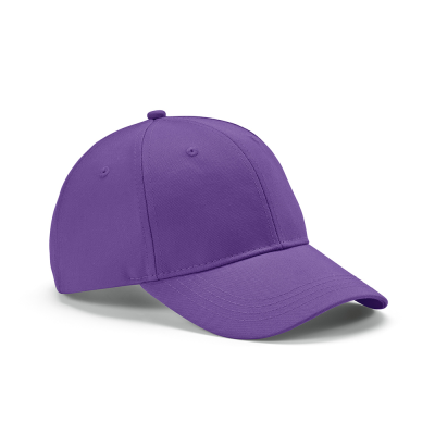 Picture of DARRELL CAP in Purple