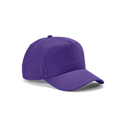 Picture of HENDRIX CAP in Purple.