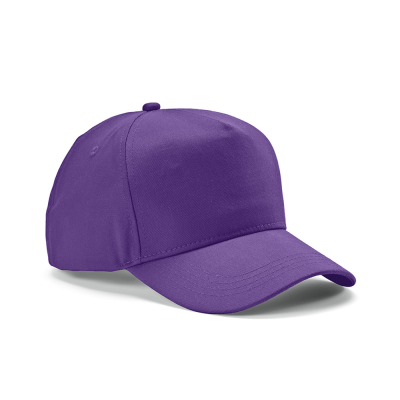 Picture of HENDRIX CAP in Purple.