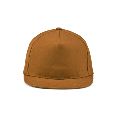 Picture of CORNELL CAP in Camel