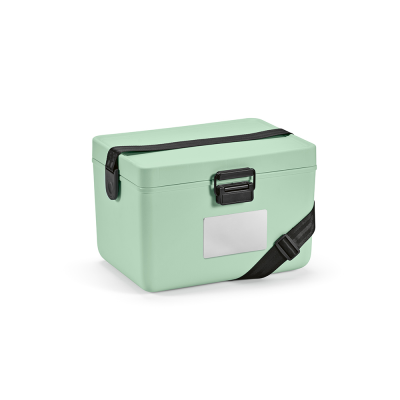 Picture of BANGKOK COOLER in Pastel Green