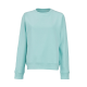 WAIKIKI W SWEATSHIRT in Pale Green image 2