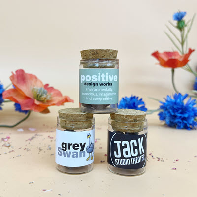 Picture of WILDFLOWER SEEDS BALLS BOMBS JAR