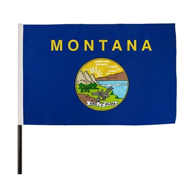 Picture of 18X12 INCH FULL COLOR FLAG with Black Pole