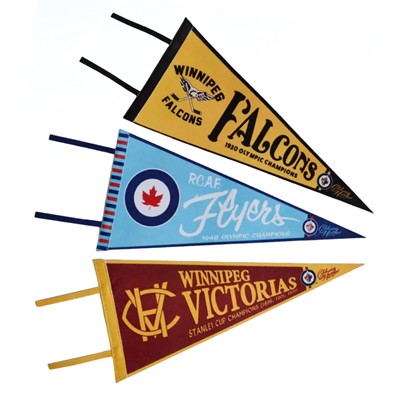 Picture of 9X24 INCH SUBLIMATED FELT PENNANT FLAG-FULL COLOR & EDGE-EDGE