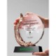 Picture of METALLIC PLUME CRYSTAL AWARD