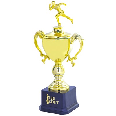 Picture of 11 INCH TROPHY AWARD