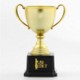 Picture of 8 INCH TROPHY AWARD