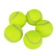 PET TRAINING TENNIS image 2