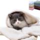 Picture of FLEECE PET PICNIC BLANKET