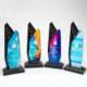 Picture of ENTERPRISE CURVE AWARD - MEDIUM