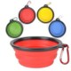 Picture of COLLAPSIBLE SILICON PET BOWL