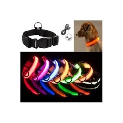 Picture of DOG COLLAR USB RECHARGEABLE.