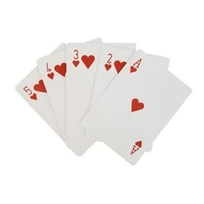 Picture of STANDARD PLAYING CARD in Case
