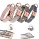 Picture of CUTE DOG COLLAR