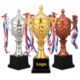 Picture of AWARD TROPHY AWARD CUP