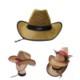 Picture of ADULT WESTERN STRAW COWBOY HAT