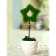 Picture of HOLLOW STAR TABLE PLANTS
