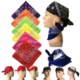 Picture of 22 INCH X 22 INCH MULTI-PURPOSE BANDANA HEADBANDS