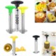 Picture of STAINLESS STEEL PINEAPPLE SLICER FRUIT PEELING MACHINE