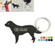 Picture of DOG SHAPE BOTTLE OPENER W & KEYRING CHAIN