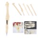 Picture of CREATIVE NOVELTY BONE SHAPE BALL PEN