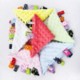 Picture of BABY TAG SECURITY PICNIC BLANKET