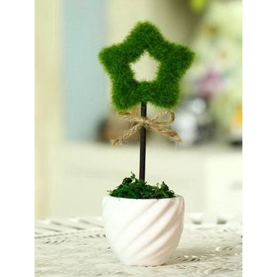 Picture of HOLLOW STAR TABLE PLANTS