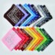 THE BANDANA image 2