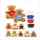 PLUSH TEDDY BEAR image 2
