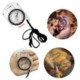 MINI ACRYLIC SCALE COMPASS image 2