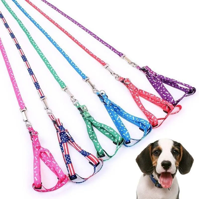 Picture of PRINTED NYLON DOG LEASH SMALL PET CAT CHAIN