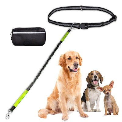 Picture of HANDS FREE DOG LEASH FOR RUNNING WALKING JOGGING & HOOK