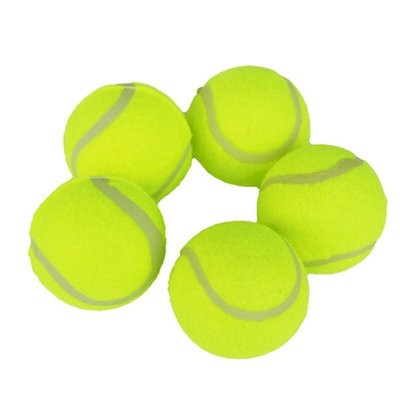 Picture of PET TRAINING TENNIS
